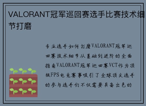 VALORANT冠军巡回赛选手比赛技术细节打磨