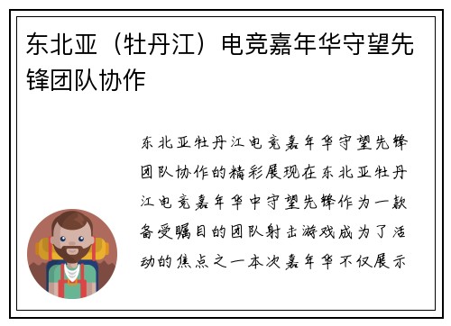 东北亚（牡丹江）电竞嘉年华守望先锋团队协作