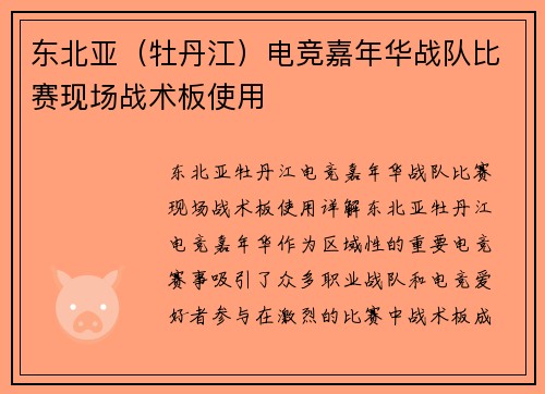 东北亚（牡丹江）电竞嘉年华战队比赛现场战术板使用