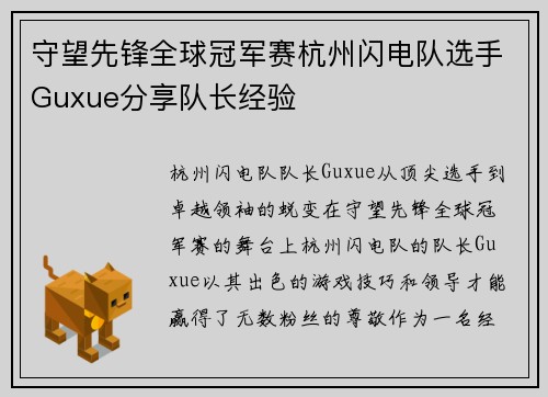 守望先锋全球冠军赛杭州闪电队选手Guxue分享队长经验