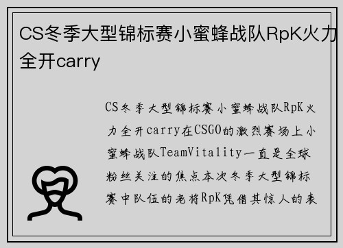 CS冬季大型锦标赛小蜜蜂战队RpK火力全开carry